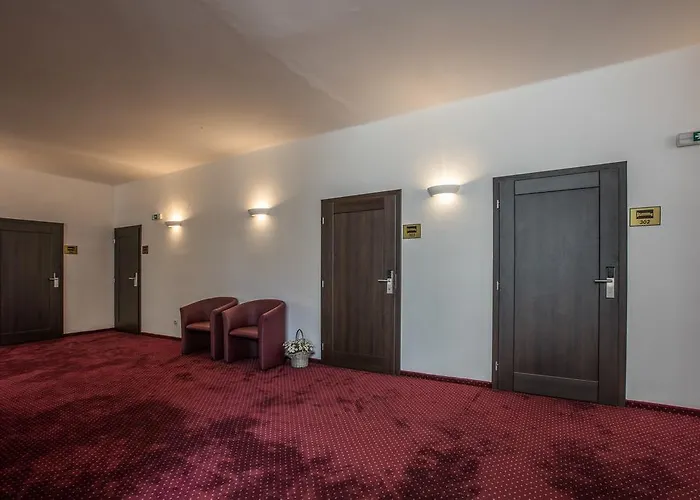 Bellevue Tlapak فندق Poděbrady